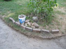yard work 2010